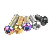 M6 Titan Schraube Linsenkopf