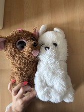 Kuscheltier Hund Von Ty