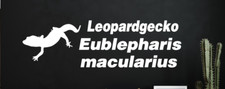 Leopardgecko Aufkleber