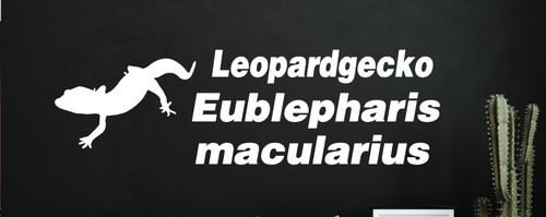 Leopardgecko aufkleber - leopardgecko,