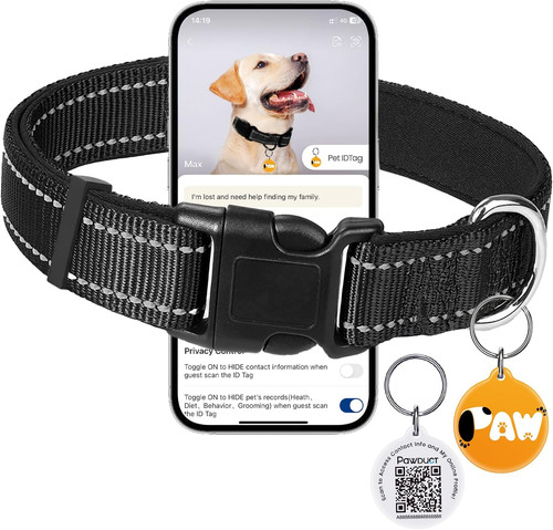 Halsband hund - halsband,