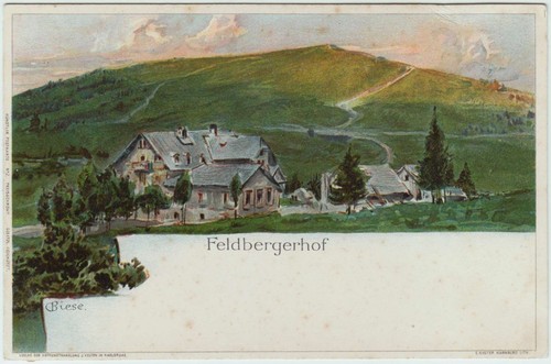 Künstler litho biese - litho,