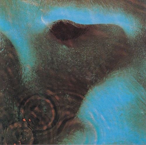 Pink floyd meddle cd - floyd, "meddle"