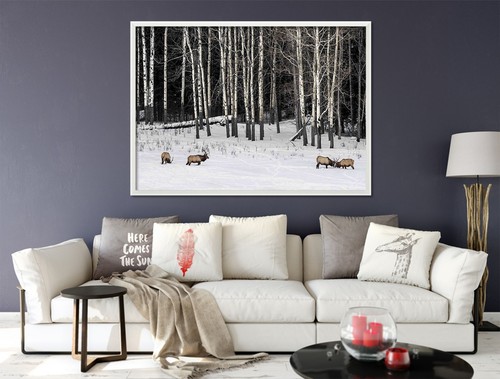 Toter wald hirsch 53 - wald,