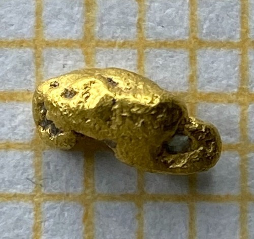 Echtes goldnugget - echtes,