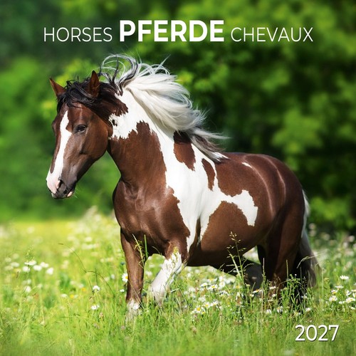 Pferde horses 2027 - pferde, kalender