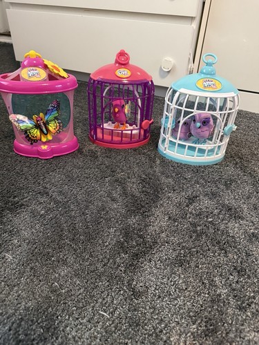 Little pets sammlungen - pets,