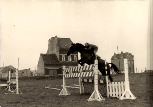 Foto pferdesport - foto,