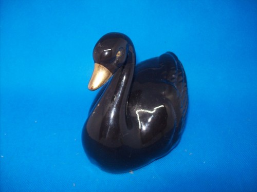 Schwan schwarz goldenem - m,
