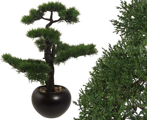 Künstlicher bonsai zeder - bonsai, ca