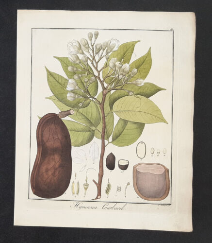 Kupferstich 1835 text - +,
