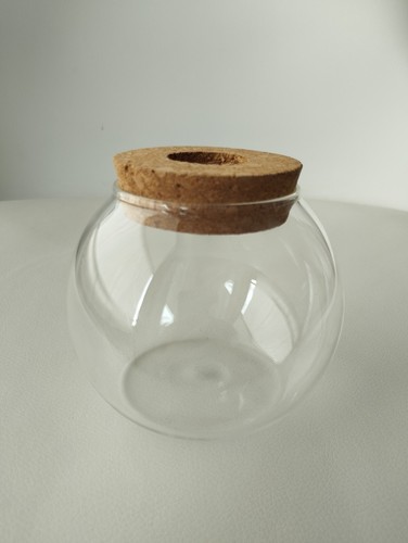 Glas pflanzen terrarium - glas,