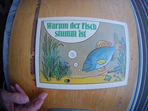 Warum der fische stumm - warum,