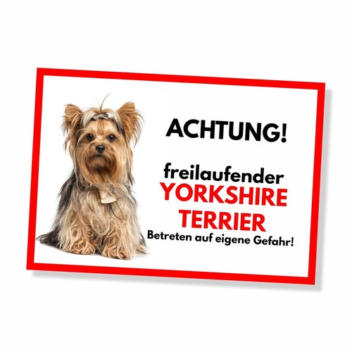 Yorkshire terrier - yorkshire,