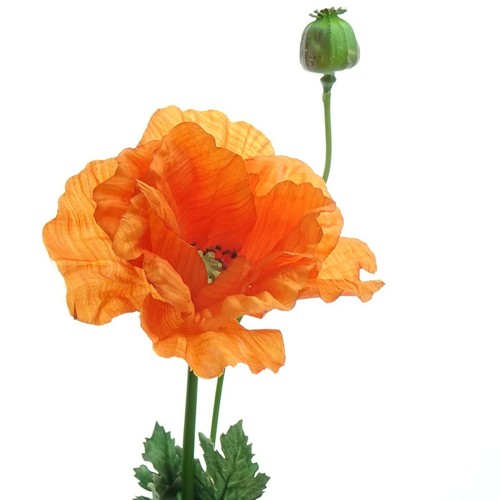 Deko florale mohn orange - florale,