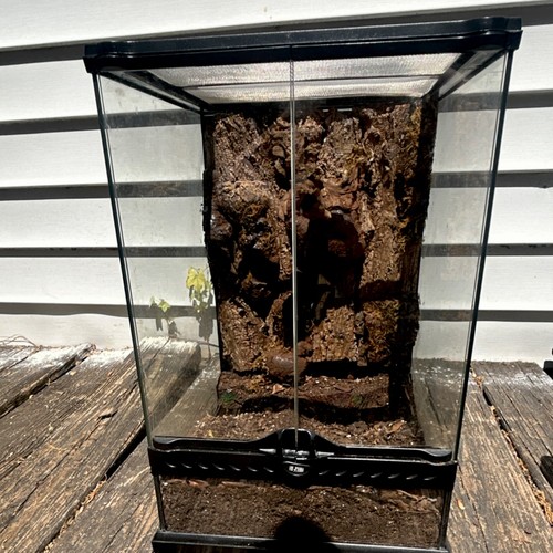 Exo terra glass terrarium - terrarium, with