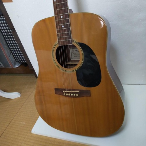 Pro martin akustikgitarre - martin,