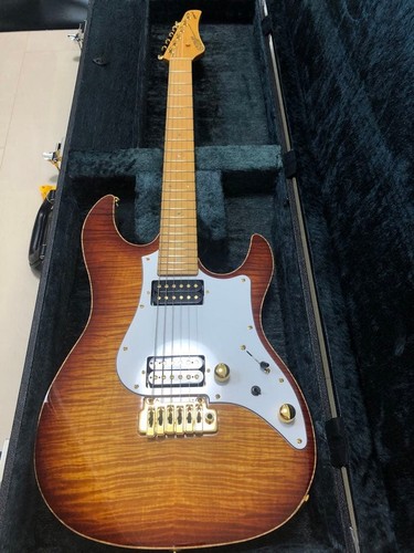 Electric guitar fujigen fgn - electric,