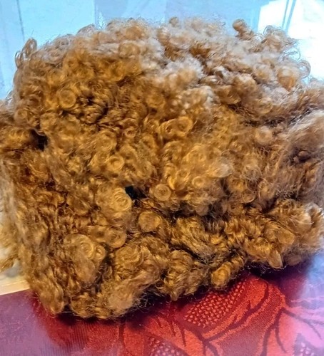 Afro perücke - afro,