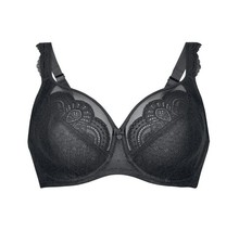 Anita Rosa Faia Selma Damen