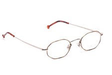 Brille Fassung Silber Braun