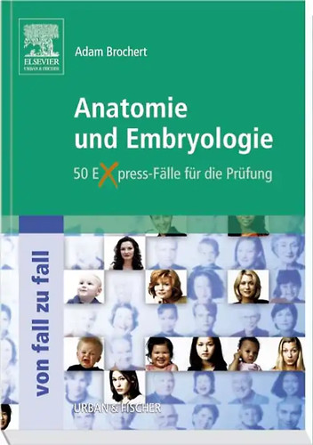 Anatomie und embryologie von - embryologie,