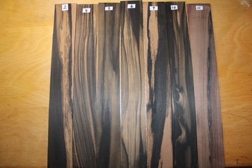 Pale moon ebenholz - moon, griffbrett