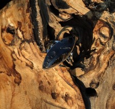 Ring Edelschungit silber 925 Schmuck Unikat Fingerring selten