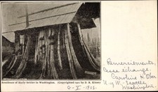 Ak Washington USA, Residence