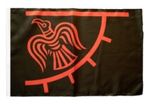 Wikinger Odinicraven Banner