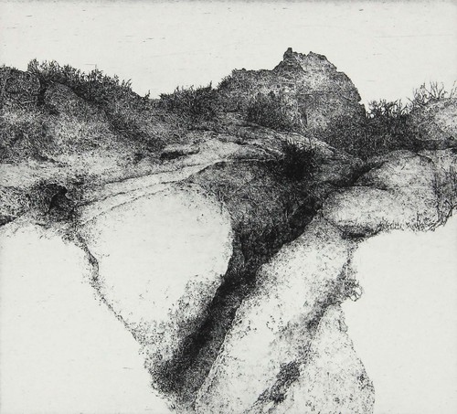 Walter herzog landschaft - -,