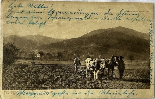 Alte 1905 feldbestellung - ak,