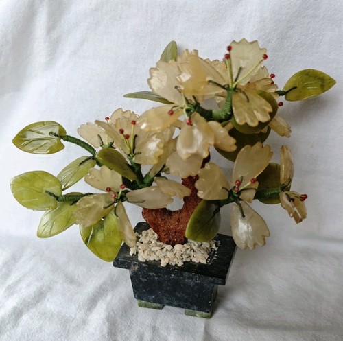 Schöner bonsai aus - schöner,