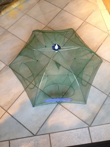 48,köderfisch