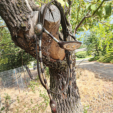 Vintage Diablo 10K/12K Gold