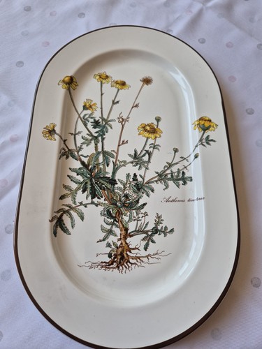 Villeroy boch botanica - &,