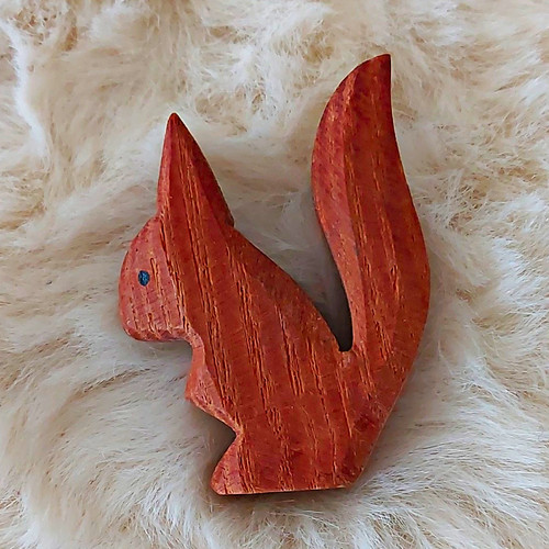 Ostheimer eichhörnchen - eichhörnchen, –