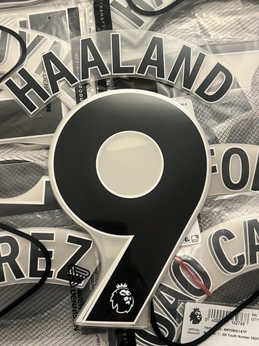 Man city haaland premier - man,