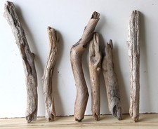 Treibholz Schwemmholz