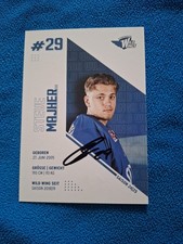 Steve Majher SERC - Schwenninger Wild Wings