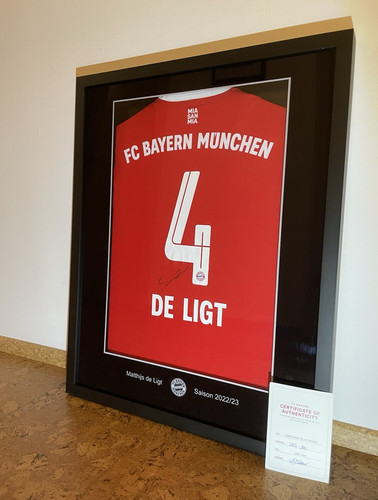 Bayern münchen gerahmtes - bayern,