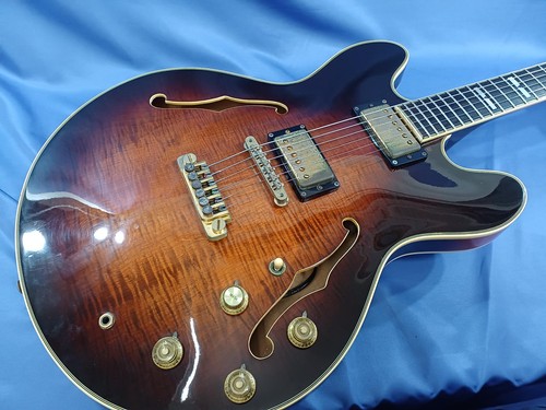 Epiphone semi hollow gitarre - epiphone,