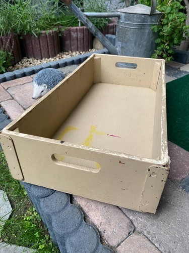 Alte große stabile holzkiste - große,