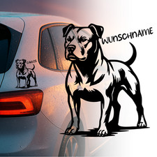 American Pit Bull Terrier Auto