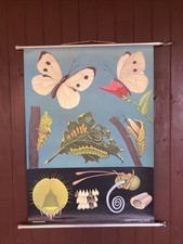 Schulwandkarte Rollkarte