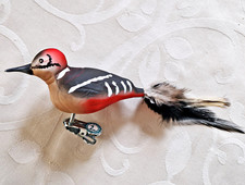 ❀ Buntspecht Glasvogel