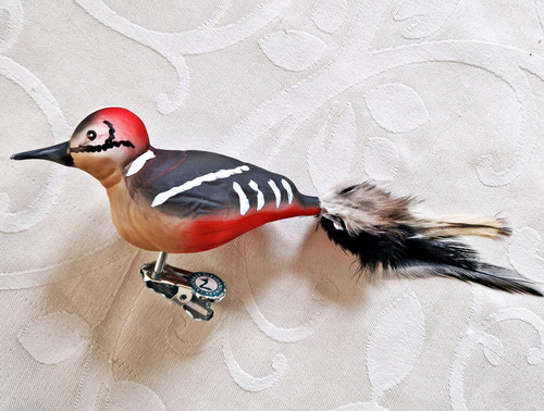 Buntspecht glasvogel - ❀,
