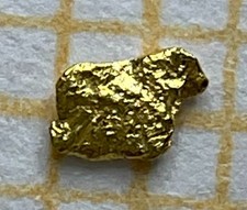 echtes Goldnugget