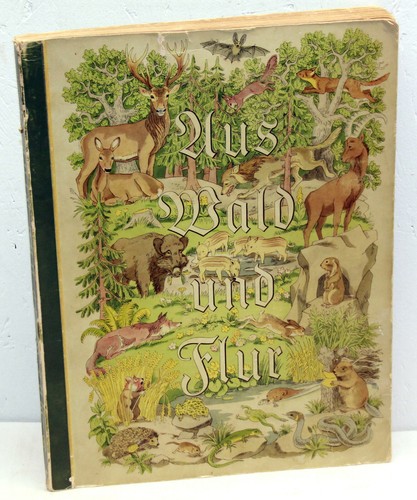Aus wald und flur - und,