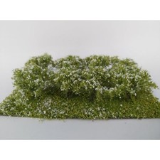 Buchsen Deluxe weiß blühend